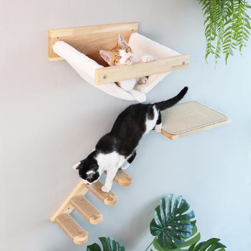 Cat Wall Shelves Set - Solid Rubber Wood for Climbing & Lounging