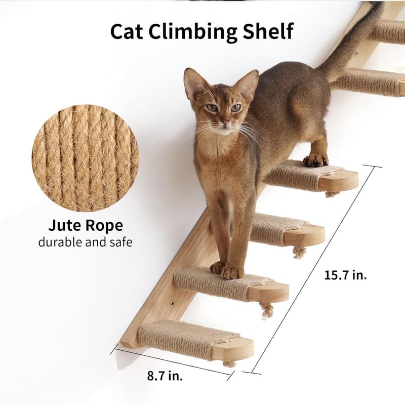 Cat Wall Shelves Set - Solid Rubber Wood for Climbing & Lounging