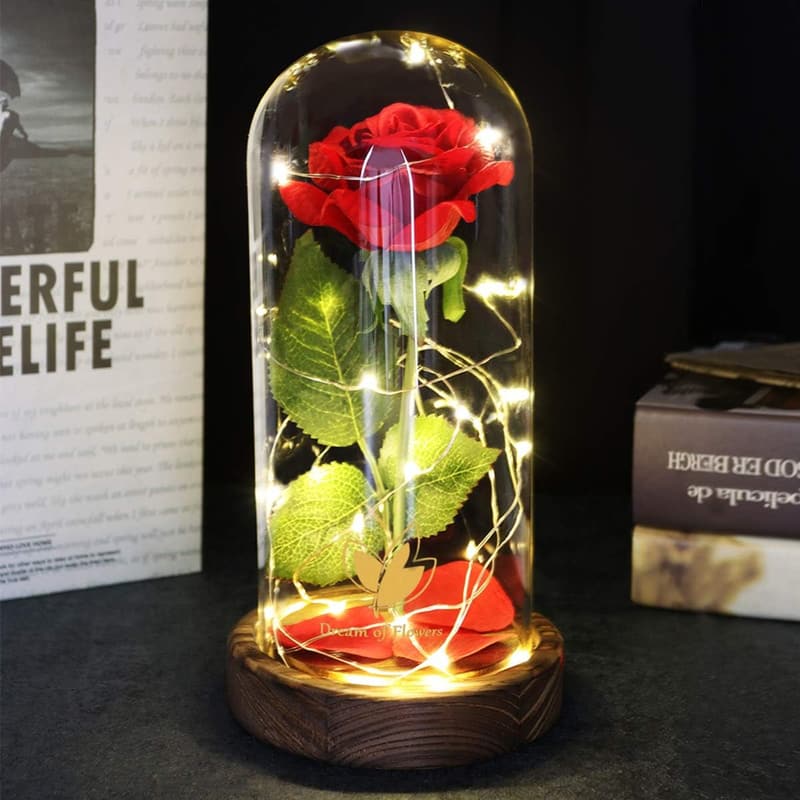Eternal Rose in Glass Dome with LED Lights for Mother's Day