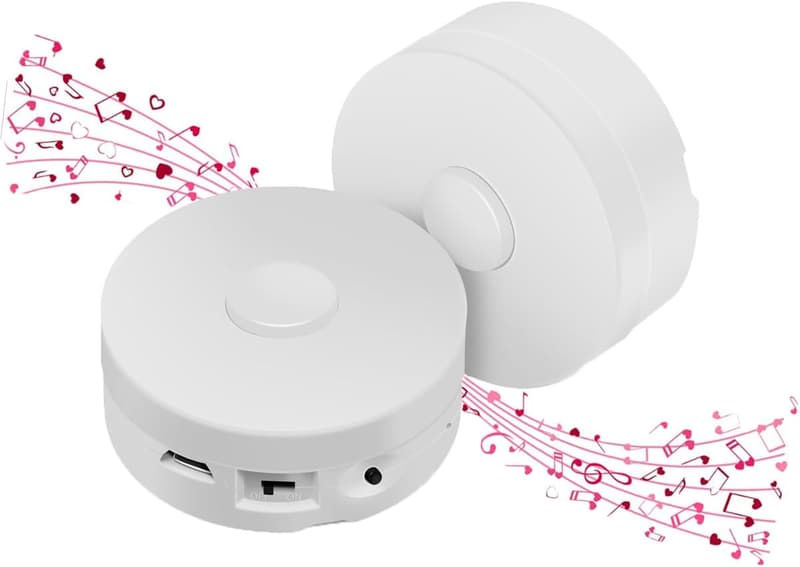 Custom Voice Message Recorder for Plush Toys & Dolls - 2 Pack