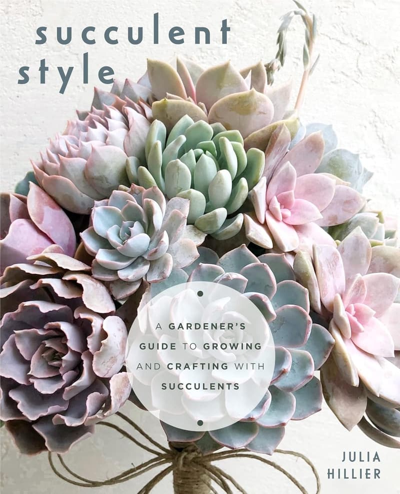 Succulent Gardening Guide: DIY Decor & Crafting Tips