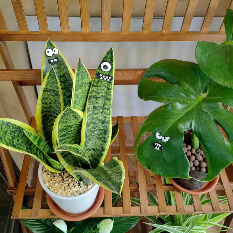 Funny Monster Plant Magnets - Safe Pins for Plant Lovers