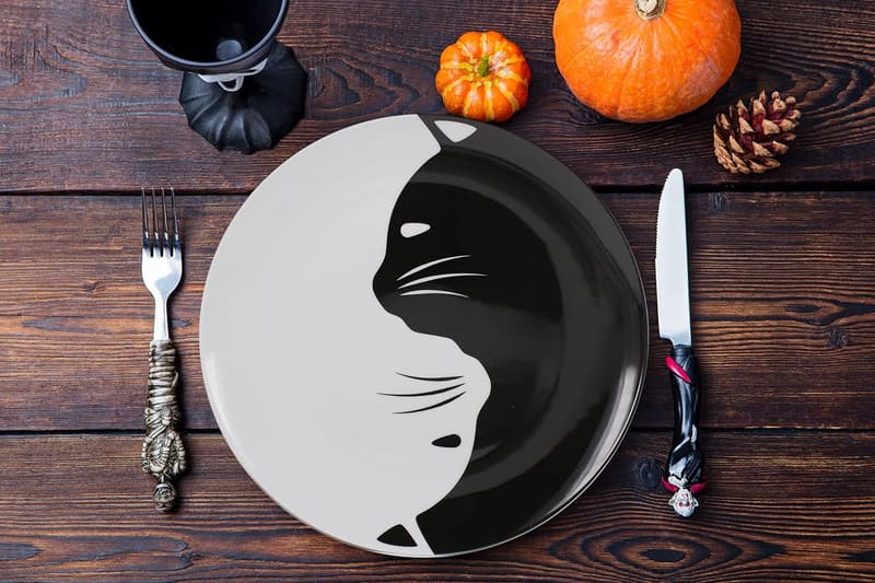 Cat Lover's Porcelain Dinner Plate Set - 10.5-Inch