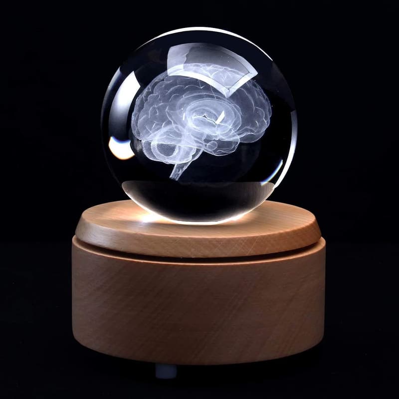 3D Human Brain Paperweight with LED Base - Science Gift