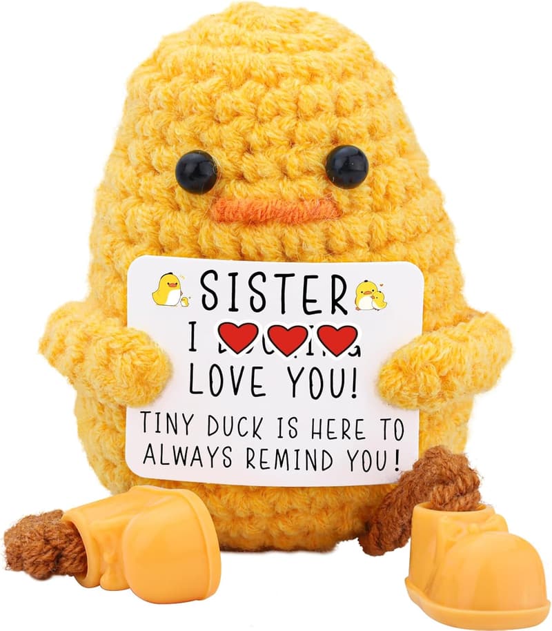 Handmade Knitted Duck Gift for Sister's Birthday