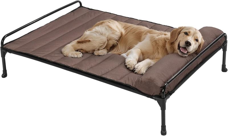Cooling Elevated Dog Bed with Waterproof Pillow, 41 x 27