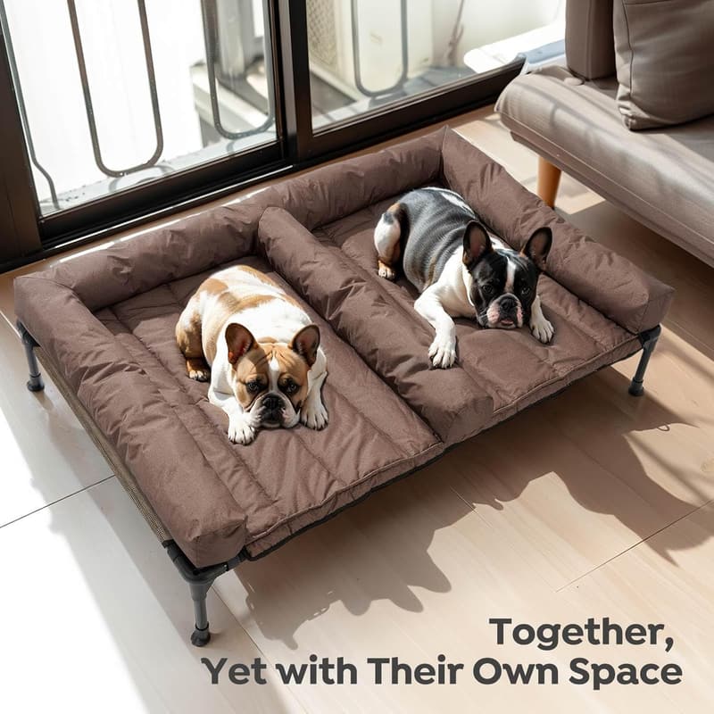 Elevated Dog Bed with Waterproof Cushion for Medium Dogs