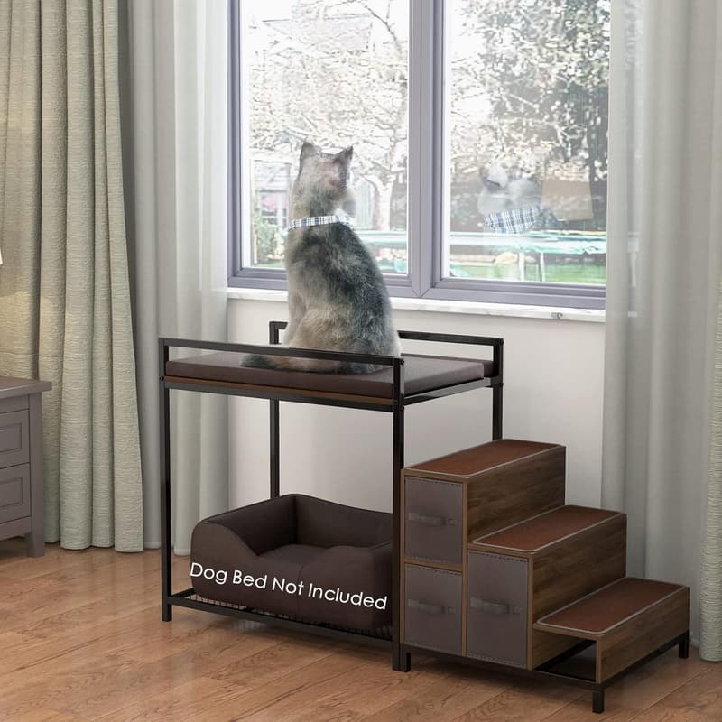 Elevated Dog Bed with Foam Upholstery and Storage