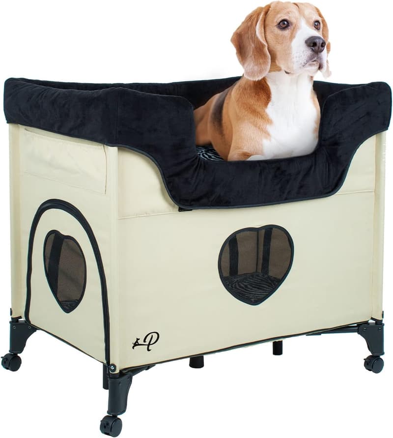 Zebra-Patterned Raised Bunk Bed for Medium Pets