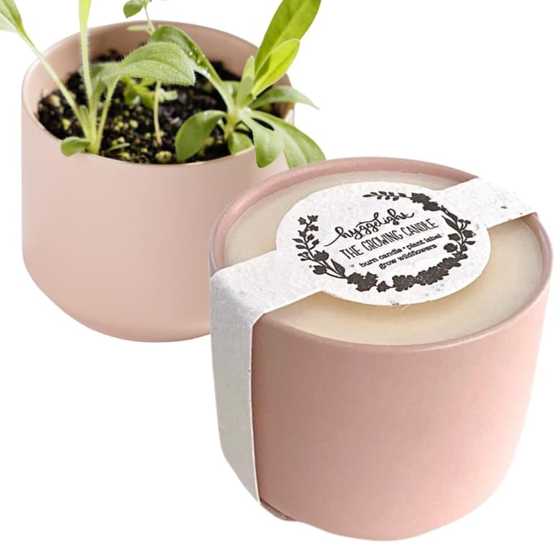 Chai Scented Growing Candle - Non-Toxic 100% Soy Wax, 8oz