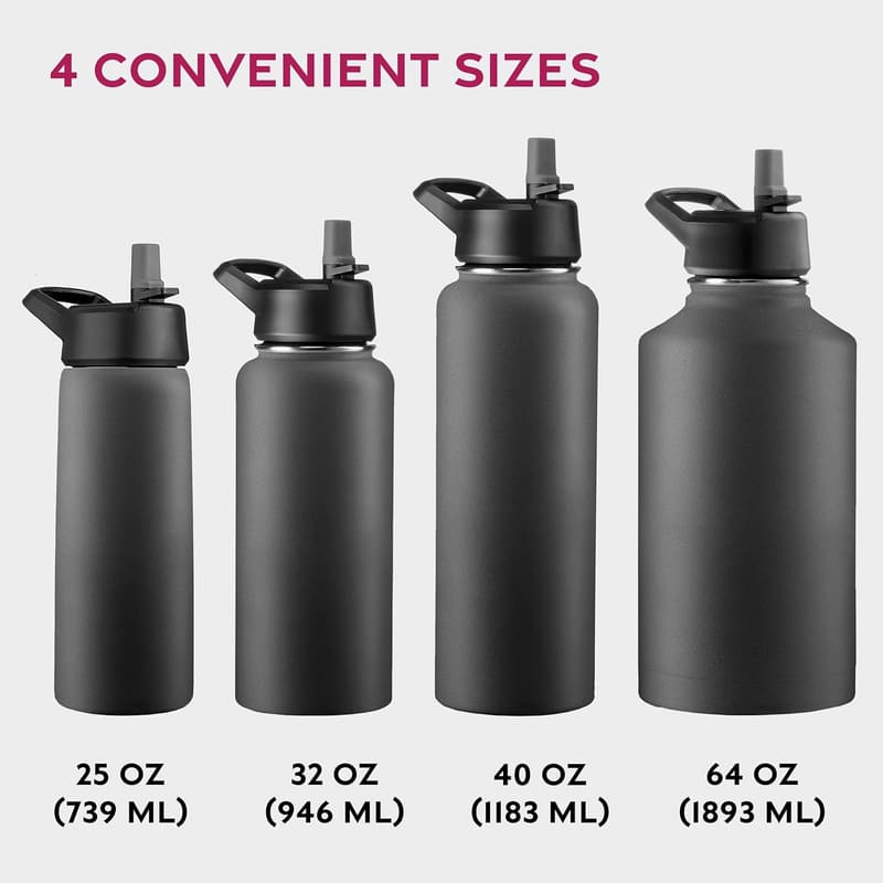 Insulated 25 Oz Stainless Steel Water Bottle with Straw - Black