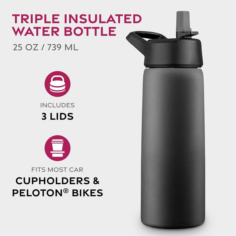 Insulated 25 Oz Stainless Steel Water Bottle with Straw - Black