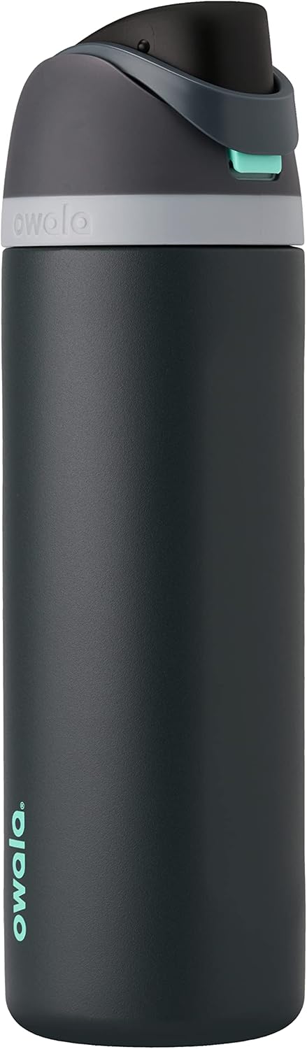 Owala FreeSip 24 oz Insulated Water Bottle - Foggy Tide