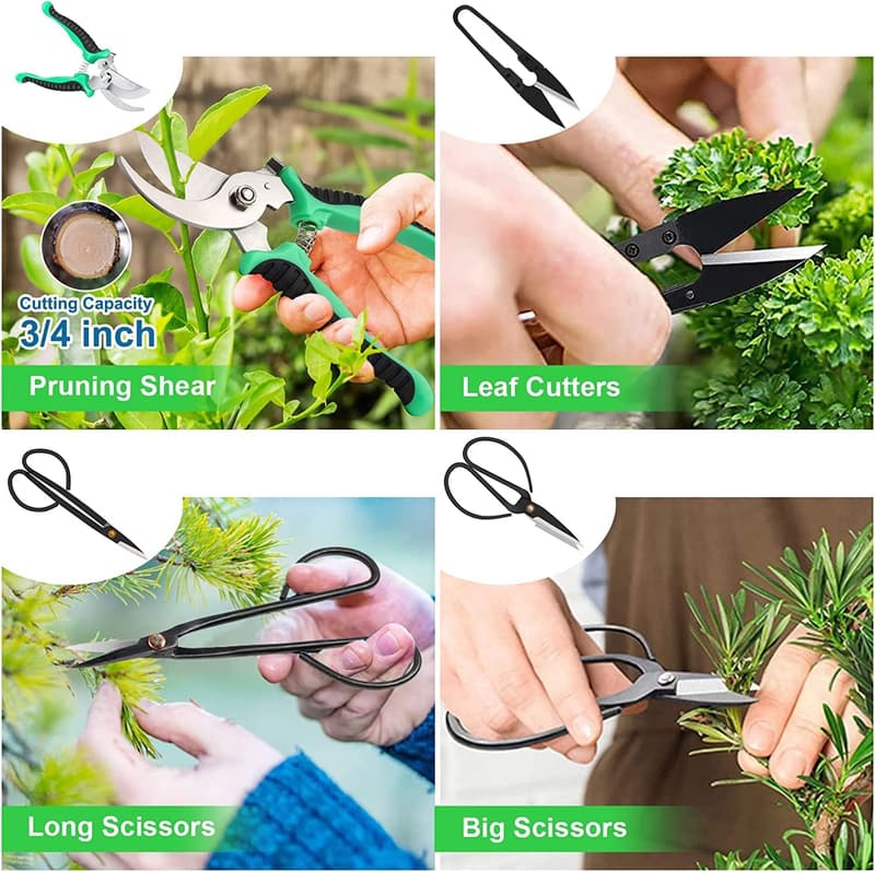 Bonsai Tool Kit for Beginners - 24-Piece Pruning Set