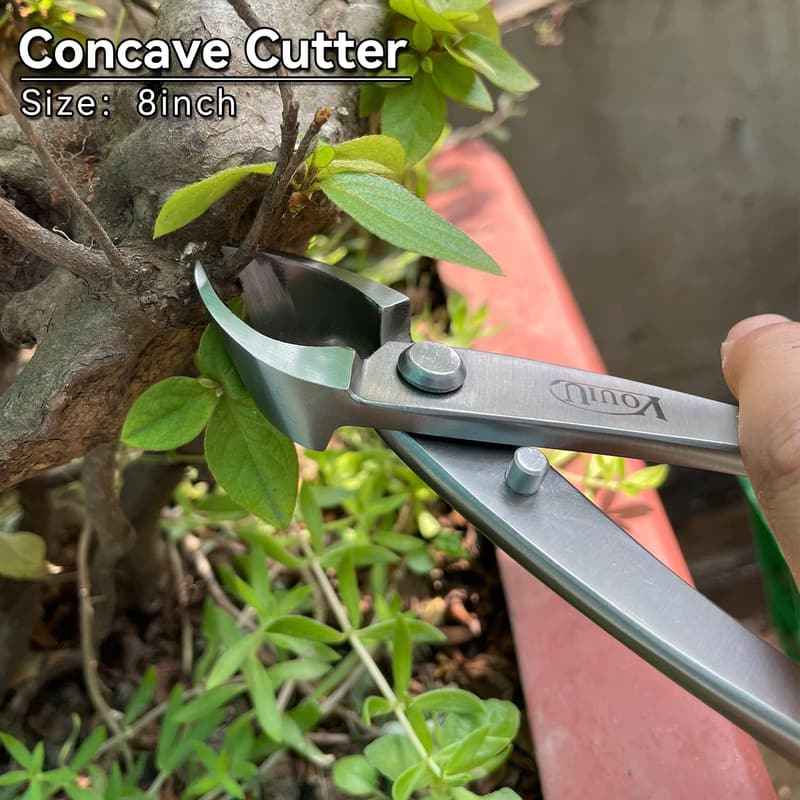 Bonsai Tools: 8-Inch Concave Cutter