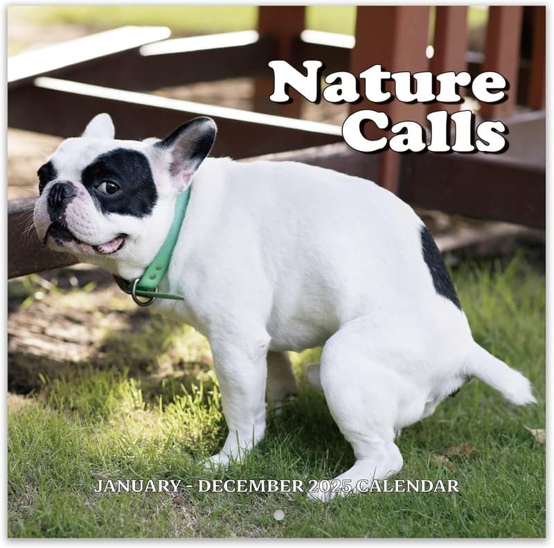 Funny 2025 Dogs Pooping Wall Calendar - Gag Gift for Friends