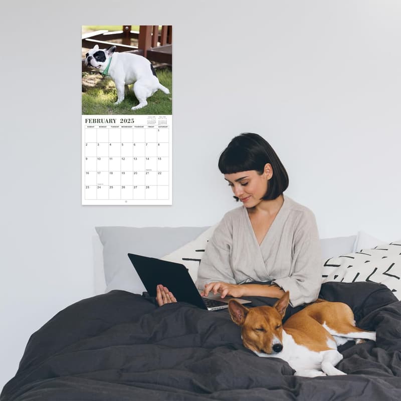 Funny 2025 Dogs Pooping Wall Calendar - Gag Gift for Friends