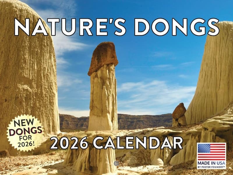 2026 Adult Humor Calendar with Funny Shaped Images - Gag Gift