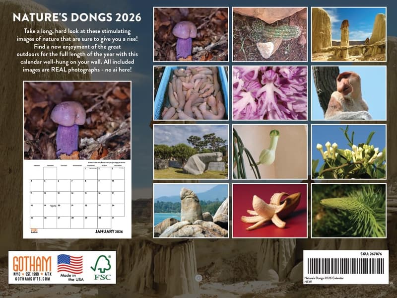 2026 Adult Humor Calendar with Funny Shaped Images - Gag Gift
