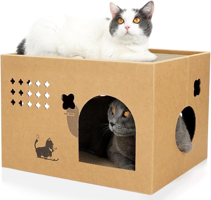 Cactus Cat Cardboard House with 2 Scratching Pads