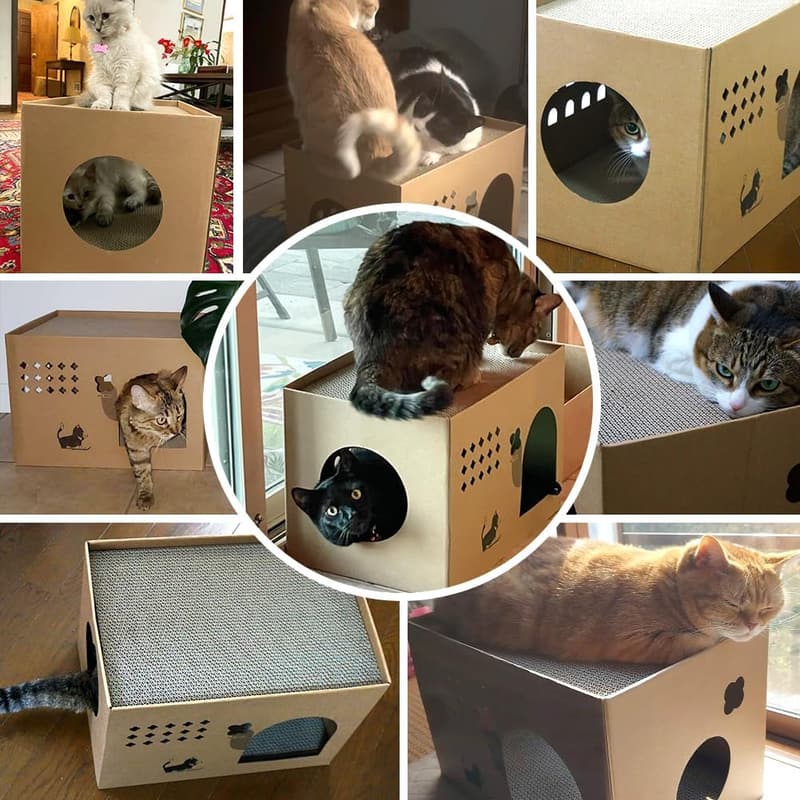 Cactus Cat Cardboard House with 2 Scratching Pads
