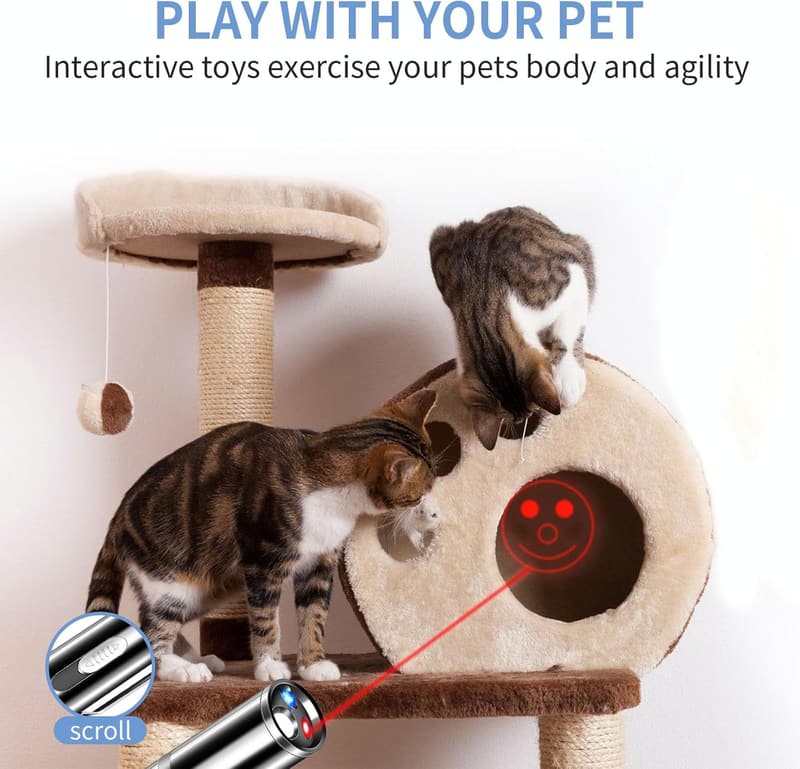 Rechargeable Cat Laser Pointer with 3 Modes and 5 Patterns