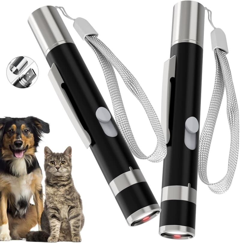 Rechargeable Interactive Cat Toy Pointer - 2 Pack