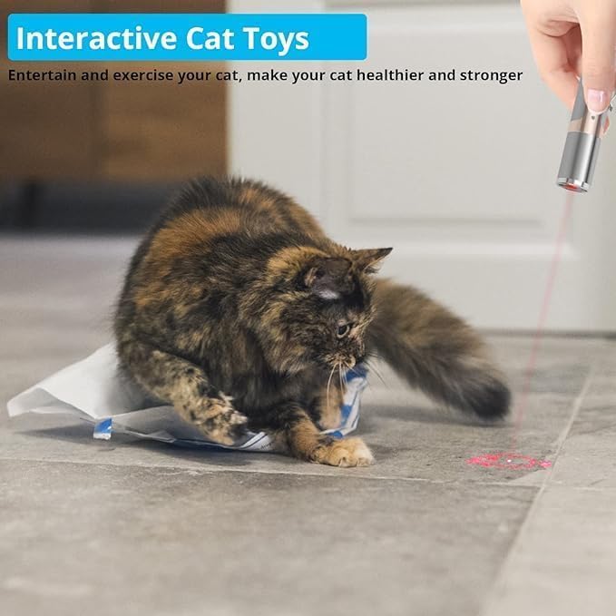 Interactive USB Rechargeable Cat Mouse Toy – 2 Pieces, 5 Modes