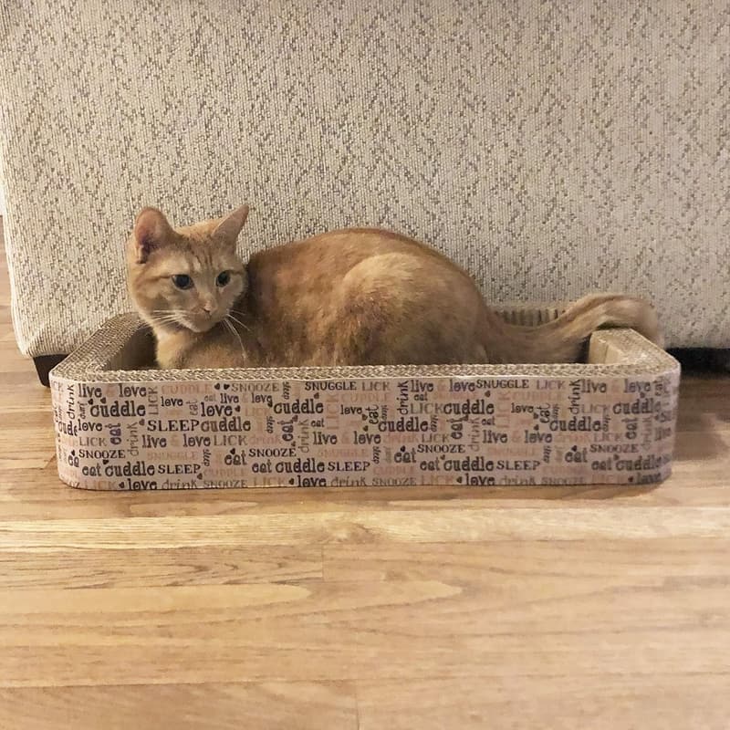 Multicolored Rectangular Cat Lounge Scratcher with Catnip