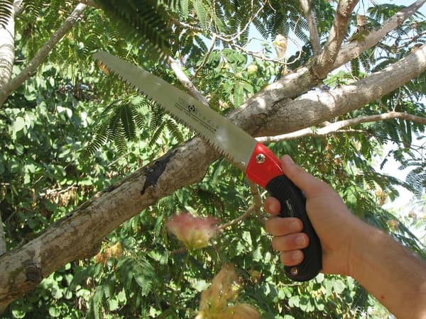 10-Inch Pruning Saw with Sheath - Straight Blade for Tree Trimming