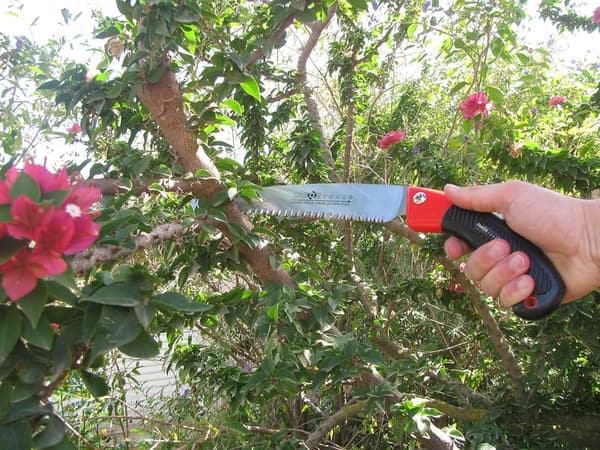 10-Inch Pruning Saw with Sheath - Straight Blade for Tree Trimming