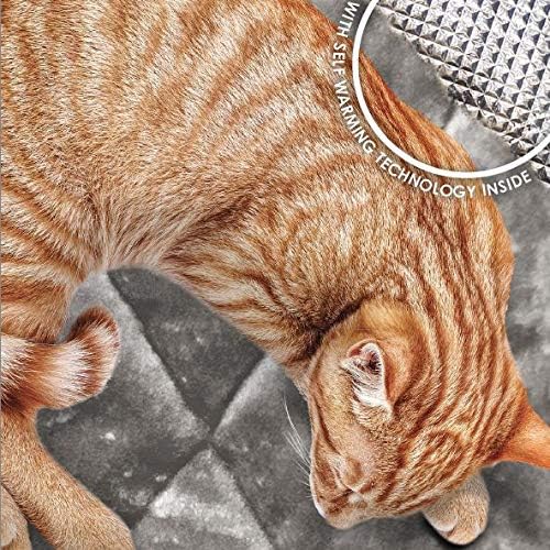 Self-Warming Pet Bed for Cats & Small Dogs – Gray Faux Fur