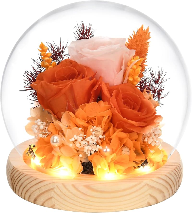 Real Rose in Glass Dome with LED Light - Valentine's Gift for Her
