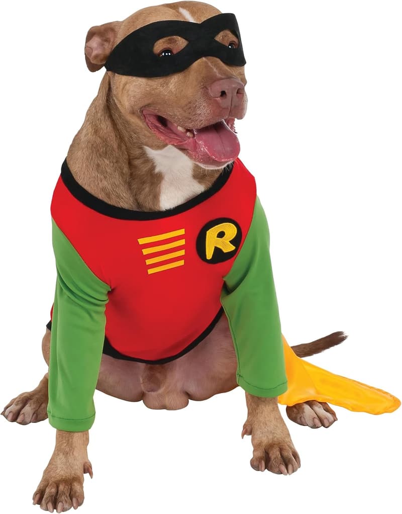 Teen Titans Robin Pet Costume for Halloween, Medium