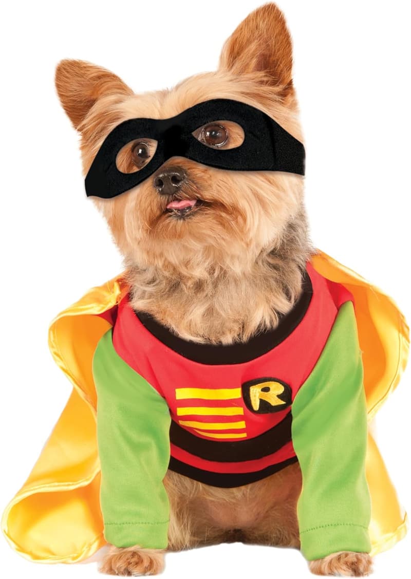 Teen Titans Robin Pet Costume for Halloween, Medium