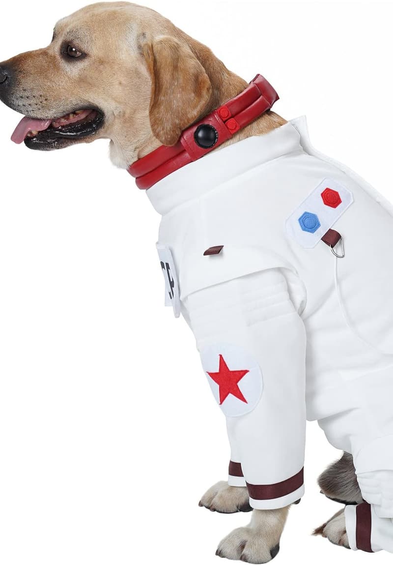 Halloween Space Dog Collar Costume for Pets