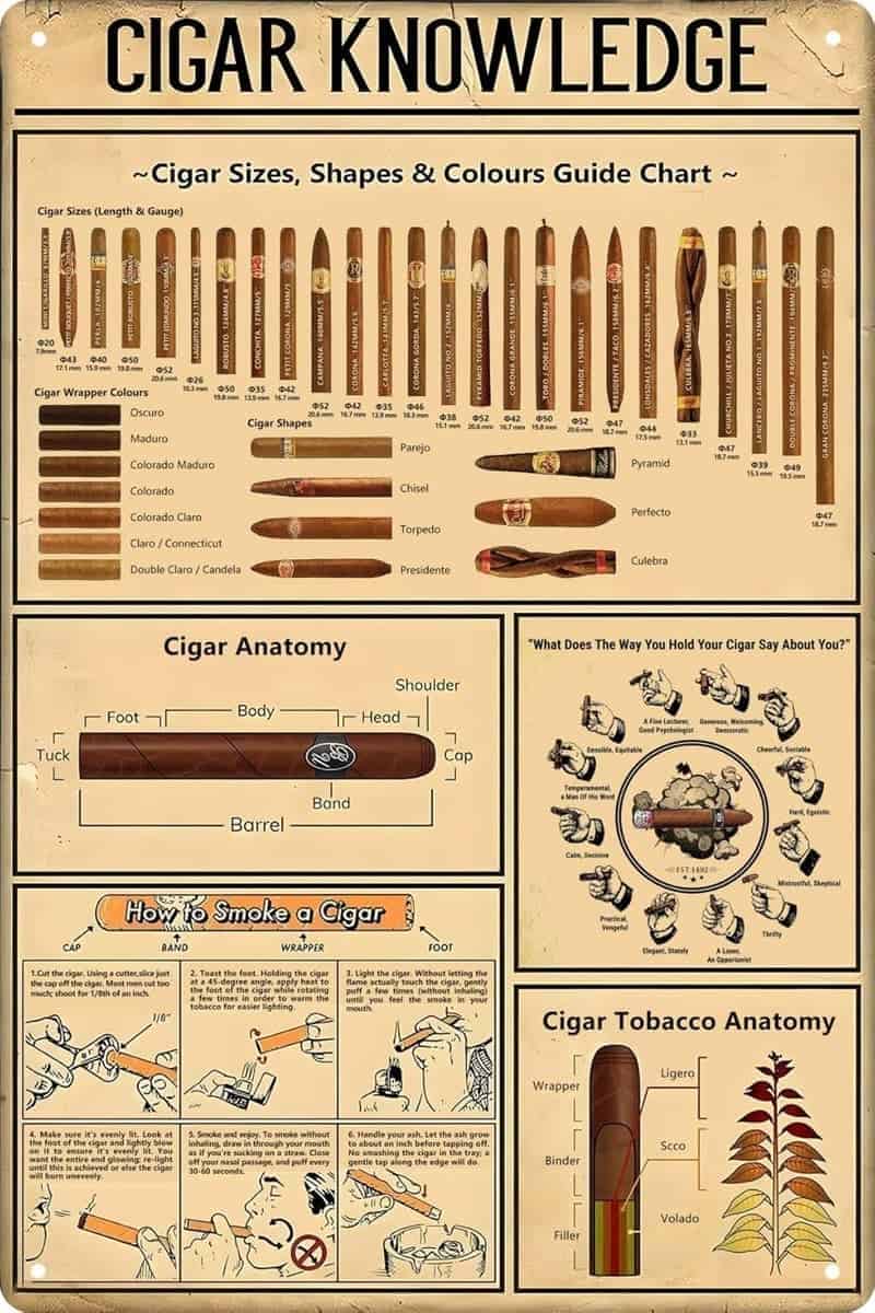 Cigar Knowledge Metal Poster - Vintage Wall Art 8x12