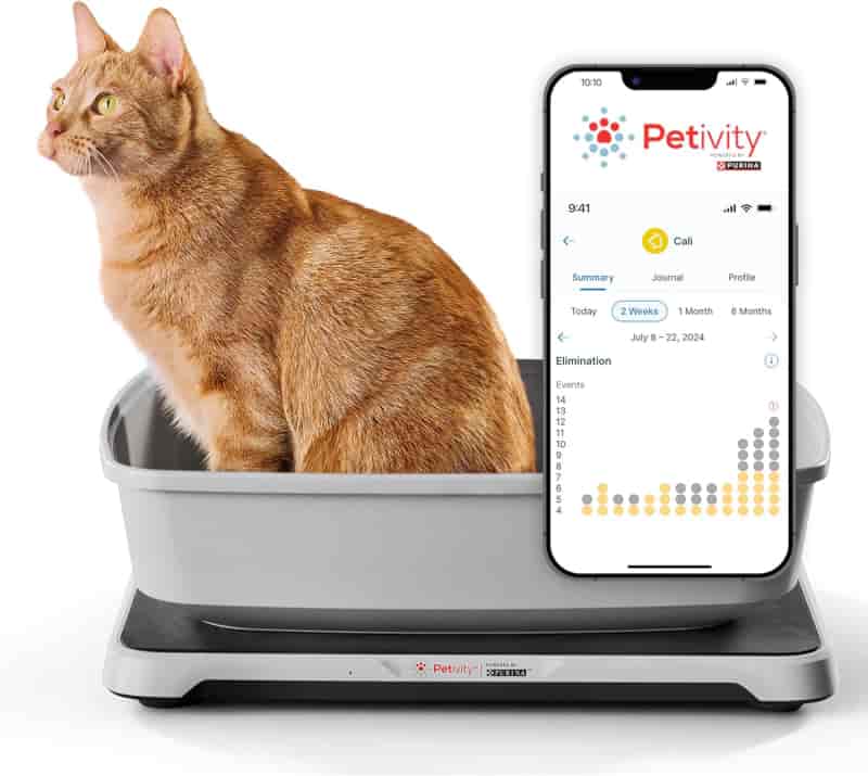 Litter Box Monitor & Cat Health Tracker with App