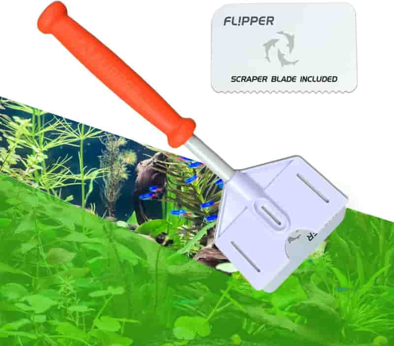Aquarium Algae Scraper, Platinum with Serrated Blade, 10