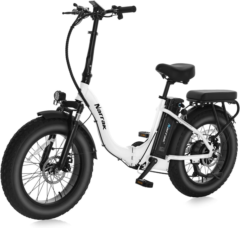 Folding Fat Tire Electric Bike, 48V Battery, 28MPH Speed