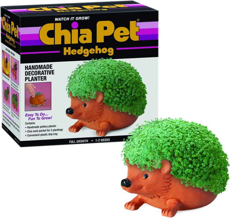 Novelty Chia Pet Hedgehog Planter with Seeds