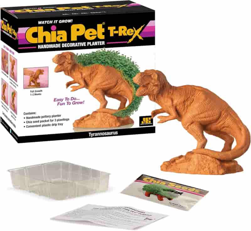 Chia T-Rex Pottery Planter with Seed Pack