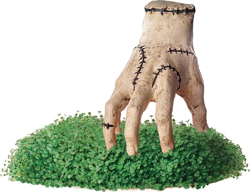 Chia Pet Planter with Seed Pack - Novelty Gift