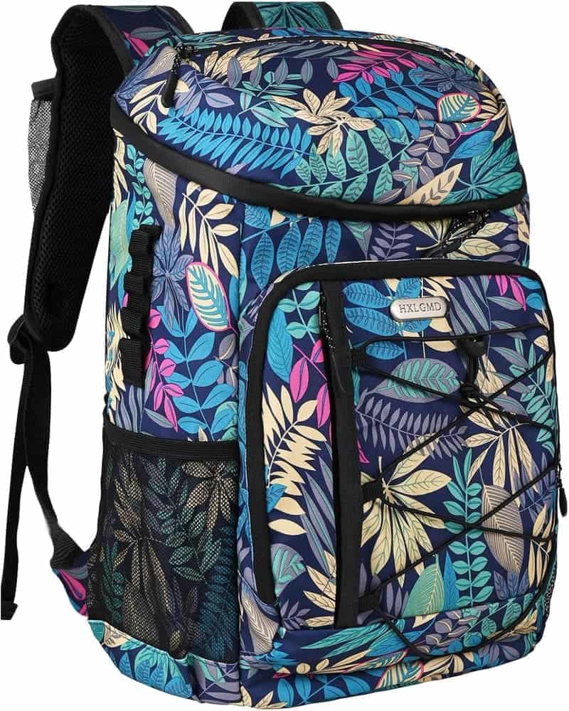 Insulated Cooler Backpack with Ice Packs, 30-Can Capacity