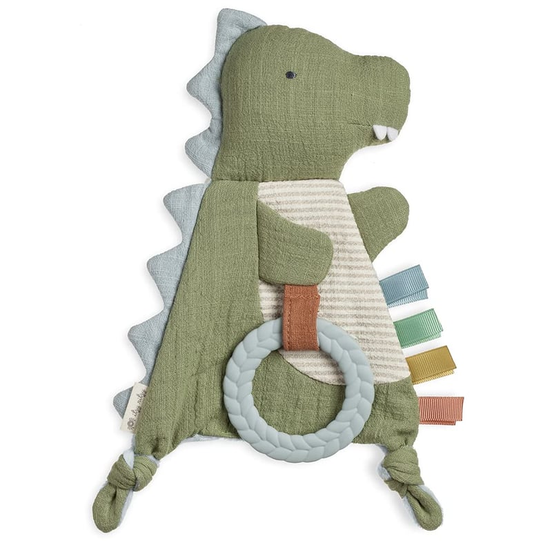 Dinosaur Sensory Toy for Babies & Toddlers