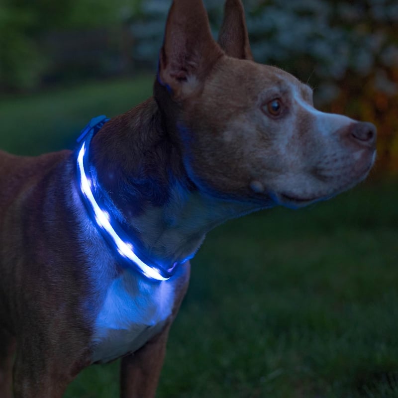LED Dog Collar Light - USB Rechargeable, Waterproof, High Visibility