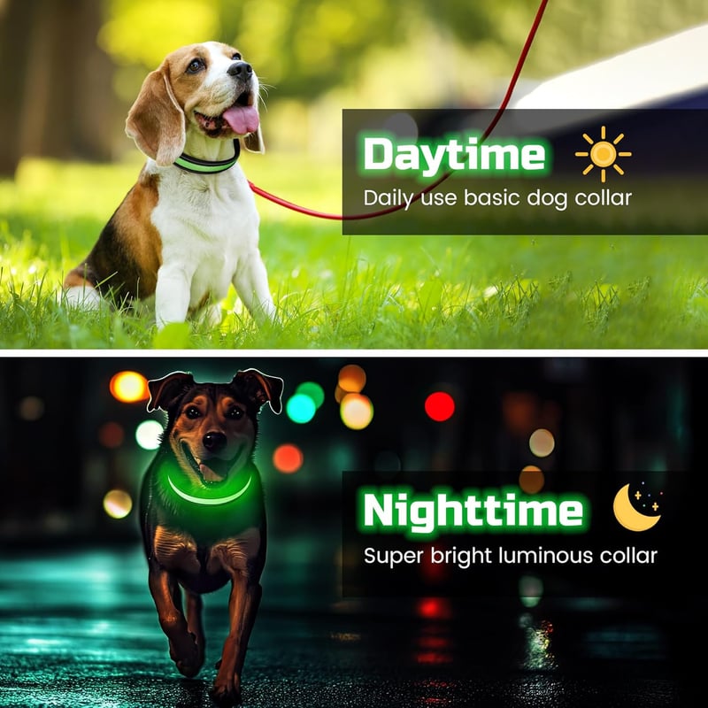 Rechargeable LED Dog Collar, Adjustable Safety Glow for Night Walks
