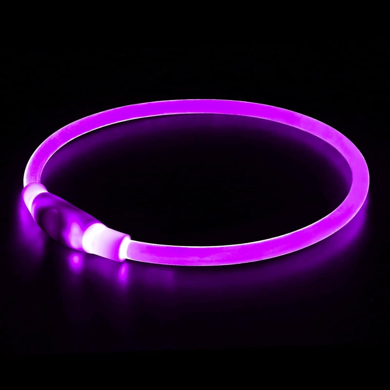 USB Rechargeable Light-Up Dog Collar for Night Safety (Purple)