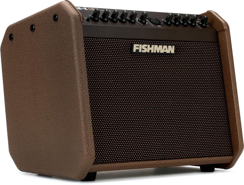 Loudbox Mini Charge 60W Battery-Powered Acoustic Amp