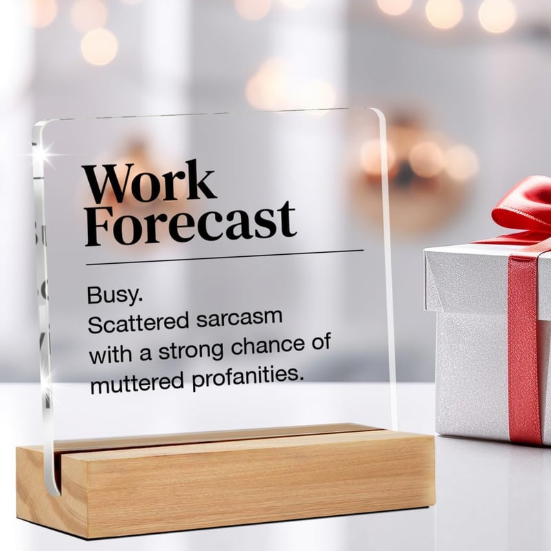 Funny Desk Sign – Humorous Acrylic Décor for Office Cubicles
